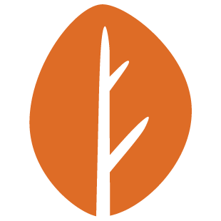 groupfunplace.com favicon